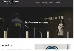 Security Pro