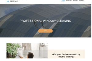 Window Cleaning Service