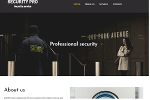 Security Pro