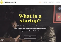 Startup Roket